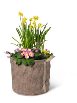 Gardener's Best® Universal Grow Bag 15 Gardener's Best® Universal Grow Bag -Garden Serie Store 8590024 7307 tif