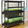 2-Tier SunLite® Garden -Garden Serie Store 8590049 2489 grow lights with two shelves large tif