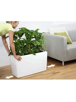 Lechuza® Cararo Rectangular Indoor Planter With Casters 10 Lechuza® Cararo Rectangular Indoor Planter With Casters -Garden Serie Store 8590295 03v