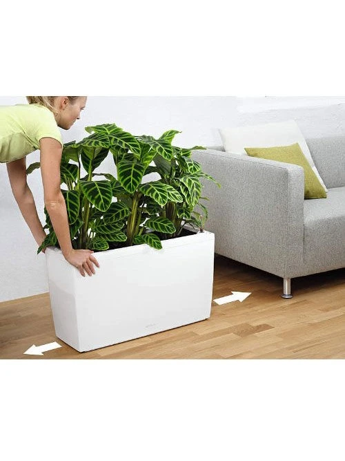 Lechuza® Cararo Rectangular Indoor Planter With Casters 6 Lechuza® Cararo Rectangular Indoor Planter With Casters - Image 4