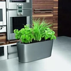 Lechuza® Delta Self-Watering Windowsill Planters -Garden Serie Store 8590298 02V tif