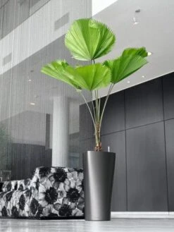 Lechuza® Delta Premium Self-Watering Planters -Garden Serie Store 8590299 02V tif