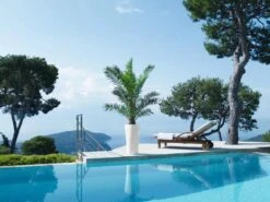 Lechuza® Delta Premium Self-Watering Planters -Garden Serie Store 8590299 04V tif