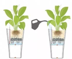 Lechuza® Delta Premium Self-Watering Planters -Garden Serie Store 8590299 07V tif