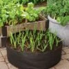 Garlic Grow Bag Kit -Garden Serie Store 8590676 0072 growing garlic grow bag kit