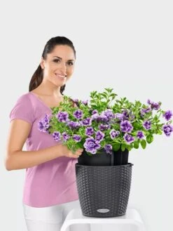 Lechuza® Nido Cottage Wicker Hanging Planter -Garden Serie Store 8591154GT 006V tif