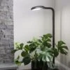 Agrobrite Floor Plant Lamp -Garden Serie Store 8592053 0215 tif