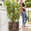 Gardener's Revolution® Tomato Planter -Garden Serie Store 8592159 406 001E tif