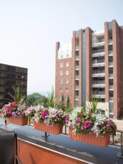 Adjustable Self-Watering Railing Planter, 24" -Garden Serie Store 8592173TC 2383 tif