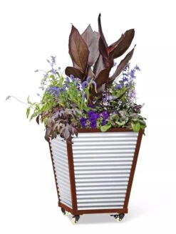 Galvanized Self-Watering Planters 10 Galvanized Self-Watering Planters -Garden Serie Store 8592177 5066 tif