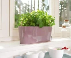 Lechuza® Delta Self-Watering Windowsill Planters -Garden Serie Store 8592361 01V tif