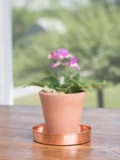Extra Small Round Copper Plant Tray, 8" -Garden Serie Store 8593528 4522 tif