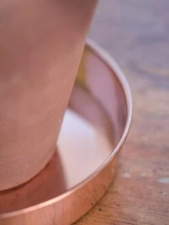 Extra Small Round Copper Plant Tray, 8" -Garden Serie Store 8593528 4529 tif