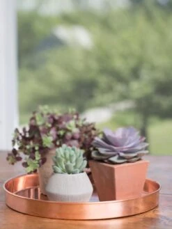 Large Round Copper Plant Tray, 14" 13 Large Round Copper Plant Tray, 14" -Garden Serie Store 8593531 4518 tif