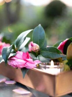 Rectangular Copper Plant Tray, 18"x4" 9 Rectangular Copper Plant Tray, 18"x4" -Garden Serie Store 8593532 02IN tif