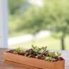 Rectangular Copper Plant Tray, 18"x4" 2 Rectangular Copper Plant Tray, 18"x4" -Garden Serie Store 8593532 4632 tif