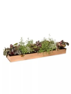 Rectangular Copper Plant Tray, 24" X 5" 11 Rectangular Copper Plant Tray, 24" X 5" -Garden Serie Store 8593533 2878 tif