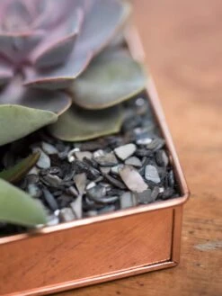 Rectangular Copper Plant Tray, 24" X 5" 10 Rectangular Copper Plant Tray, 24" X 5" -Garden Serie Store 8593533 4570 tif