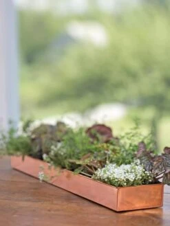 Rectangular Copper Plant Tray, 24" X 5" 9 Rectangular Copper Plant Tray, 24" X 5" -Garden Serie Store 8593533 4626 tif