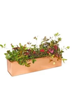 Tall Rectangular Copper Plant Tray, 18" X 5" X 4" 10 Tall Rectangular Copper Plant Tray, 18" X 5" X 4" -Garden Serie Store 8593534 2899 tif