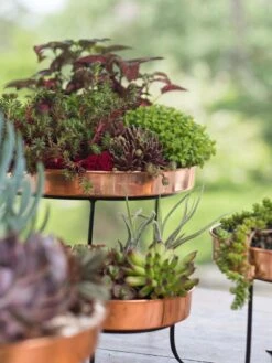 Small Round Copper Plant Tray, 10" 8 Small Round Copper Plant Tray, 10" -Garden Serie Store 8593564 4399 tif