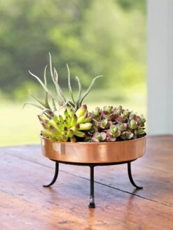 Extra Small Round Copper Plant Tray, 8" -Garden Serie Store 8593564 4641 001E tif