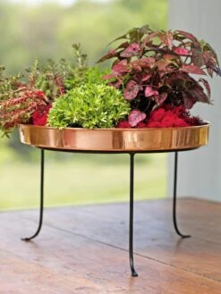 Large Round Copper Plant Tray, 14" 14 Large Round Copper Plant Tray, 14" -Garden Serie Store 8593567 4636 tif
