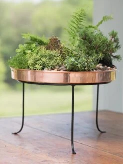 Large Round Copper Plant Tray, 14" 12 Large Round Copper Plant Tray, 14" -Garden Serie Store 8593567 4637 tif