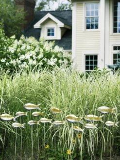 Fish Out Of Water Garden Stakes, Set Of 5 -Garden Serie Store 8593672 9124 tif