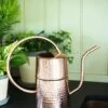 Copper Indoor Watering Can -Garden Serie Store 8593724 5369 tif