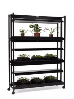 High Intensity 3-Tier SunLite® Garden -Garden Serie Store 8593944 1608 tif
