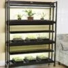 High Intensity 3-Tier SunLite® Garden -Garden Serie Store 8593944 1773 3 tier high intensity grow lights tif