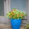 Viva Round Self-Watering Rolling Planter, 17.25” Diameter 2 Viva Round Self-Watering Rolling Planter, 17.25” Diameter -Garden Serie Store 8594077 0087 tif