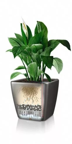 Lechuza® Quadro LS Premium Self-Watering Square Planters -Garden Serie Store 8594096 05V tif