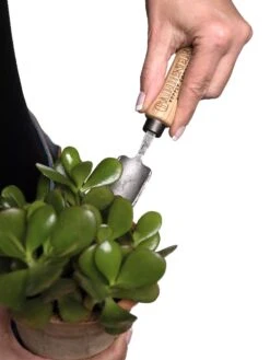 Gardener's Lifetime Mini Trowel 8 Gardener's Lifetime Mini Trowel -Garden Serie Store 8594146 0111 tif