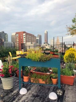 Demeter Mobile Planter Cart 14 Demeter Mobile Planter Cart -Garden Serie Store 8594148 01CUST tif