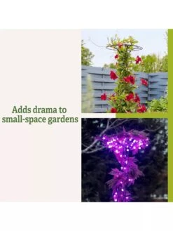 Essex Tuteur, 63" -Garden Serie Store 8594162 3