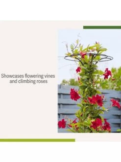 Essex Tuteur, 63" -Garden Serie Store 8594162 4