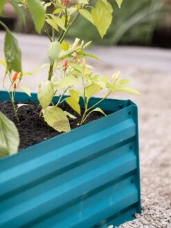 Demeter Corrugated Metal Raised Bed, 34" X 68" -Garden Serie Store 8594183 470 tif 1