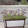 Short Galvanized Self-Watering Trough Planter -Garden Serie Store 8594329 5064 tif