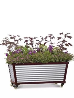 Short Galvanized Self-Watering Trough Planter -Garden Serie Store 8594329 5065 tif