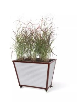 Tall Galvanized Self-Watering Trough Planter -Garden Serie Store 8594330 8541 tif