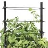 Gardener's Revolution® Classic Tomato Extension 2 Gardener's Revolution® Classic Tomato Extension -Garden Serie Store 8594367 0047 001E gardeners revolution classic tomato cage extension tif