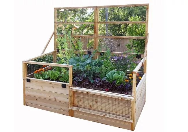 Garden In A Box With Trellis/Lid Option, 3' X 6' 8 Garden In A Box With Trellis/Lid Option, 3' X 6' - Image 6