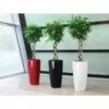 Lechuza® Rondo Self-Watering Planters -Garden Serie Store 8594586 01V tif