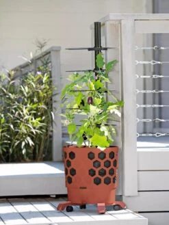 Gardener's Revolution® Tomato Planter 9 Gardener's Revolution® Tomato Planter -Garden Serie Store 8594743 2618 tif