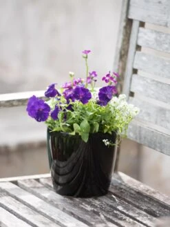 Viva Round Self-Watering Planter, 7" Diameter -Garden Serie Store 8595222 1140 tif