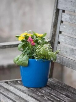 Viva Round Self-Watering Planter, 7" Diameter -Garden Serie Store 8595222 1143 tif