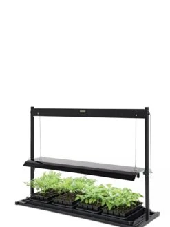 LED SunLite® Tabletop Garden -Garden Serie Store 8595552 10125 tif