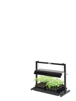 LED SunLite® Compact Tabletop Garden -Garden Serie Store 8595555 10136 tif